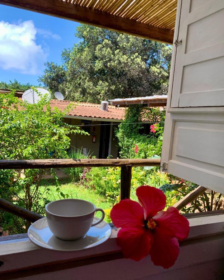 Hospedagem Junco Noronha Fernando de Noronha Dış mekan fotoğraf